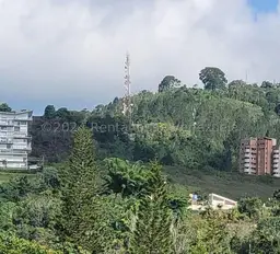 Vista 8