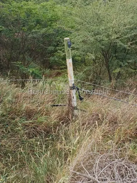 Terreno (Finca) en Venta en Municipio Jimenez, Lara - 38