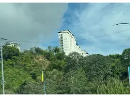 Vista 6
