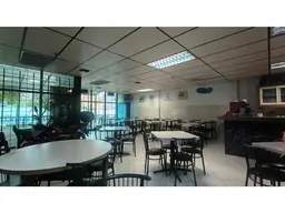 Vista 13