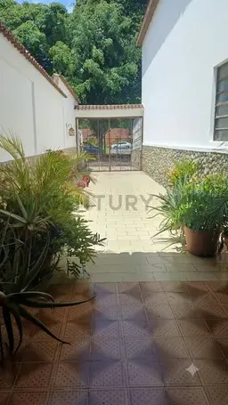 Vista 1