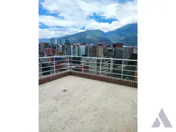 Vista 24