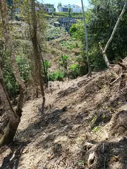 Vista 3