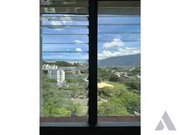Vista 19