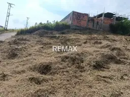 Vista 1