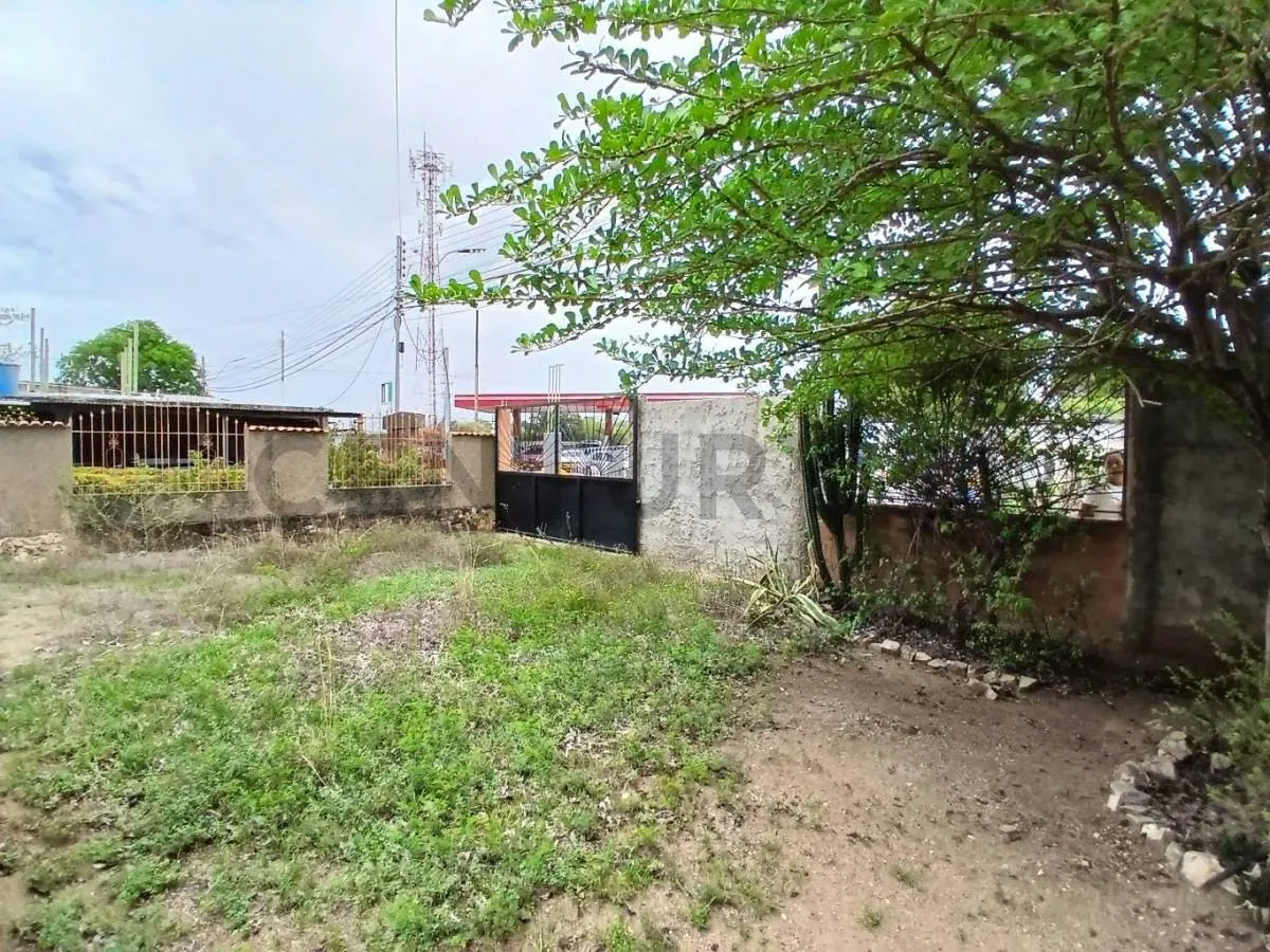 Casa Campestre con Terreno en Altagracia a 5 min de la bahía de Juan Griego - 16