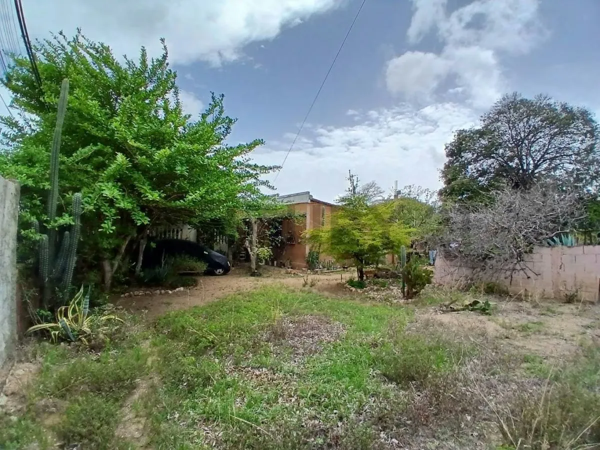 Casa Campestre con Terreno en Altagracia a 5 min de la bahía de Juan Griego - 21
