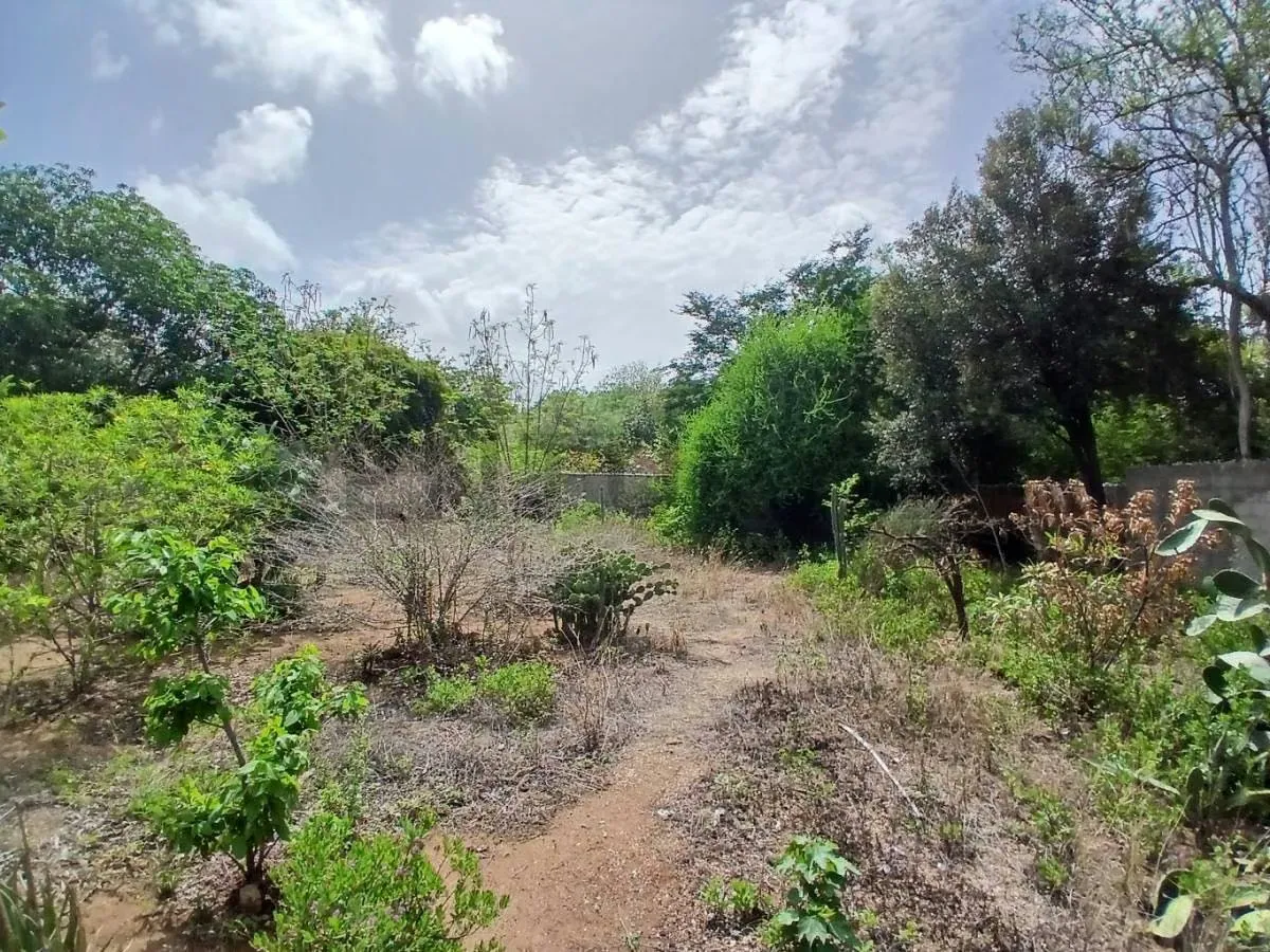 Casa Campestre con Terreno en Altagracia a 5 min de la bahía de Juan Griego - 22