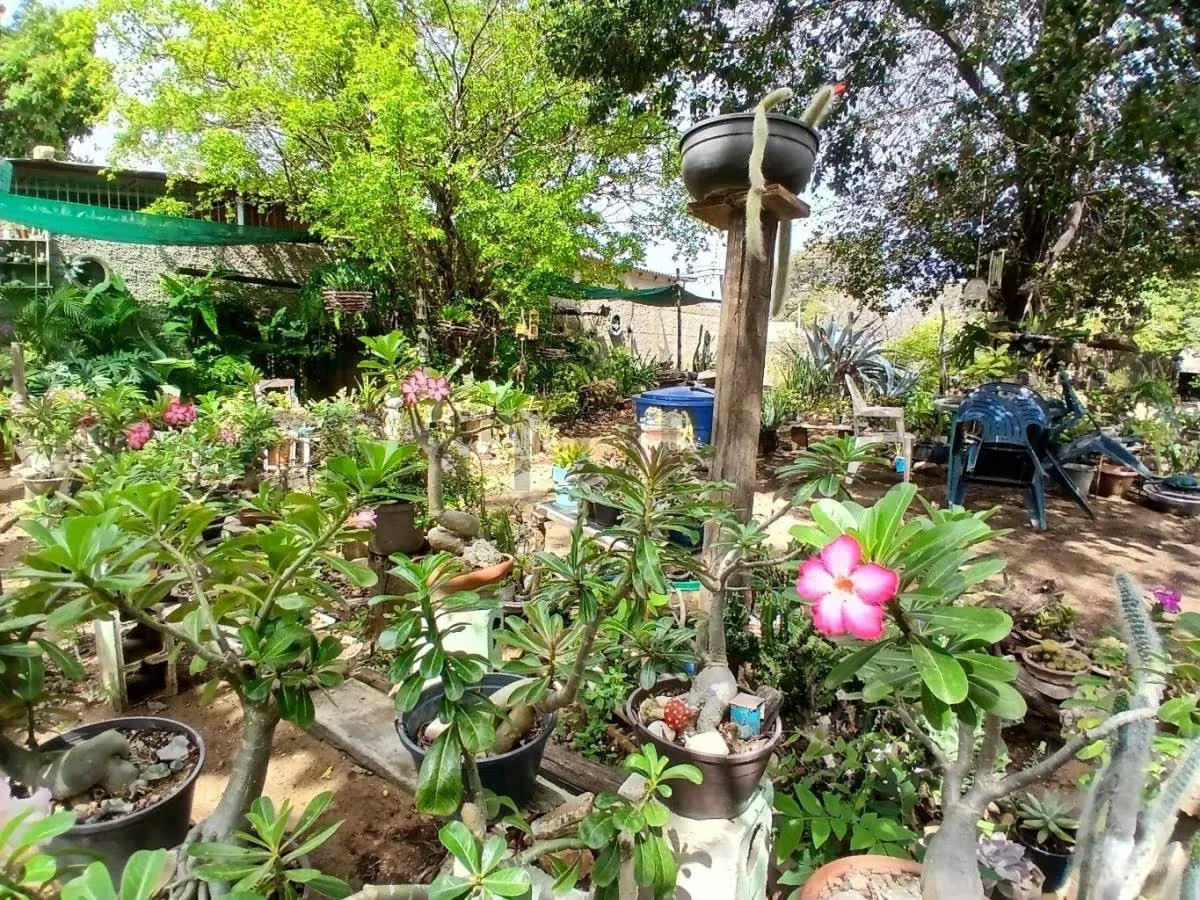 Casa Campestre con Terreno en Altagracia a 5 min de la bahía de Juan Griego - 23