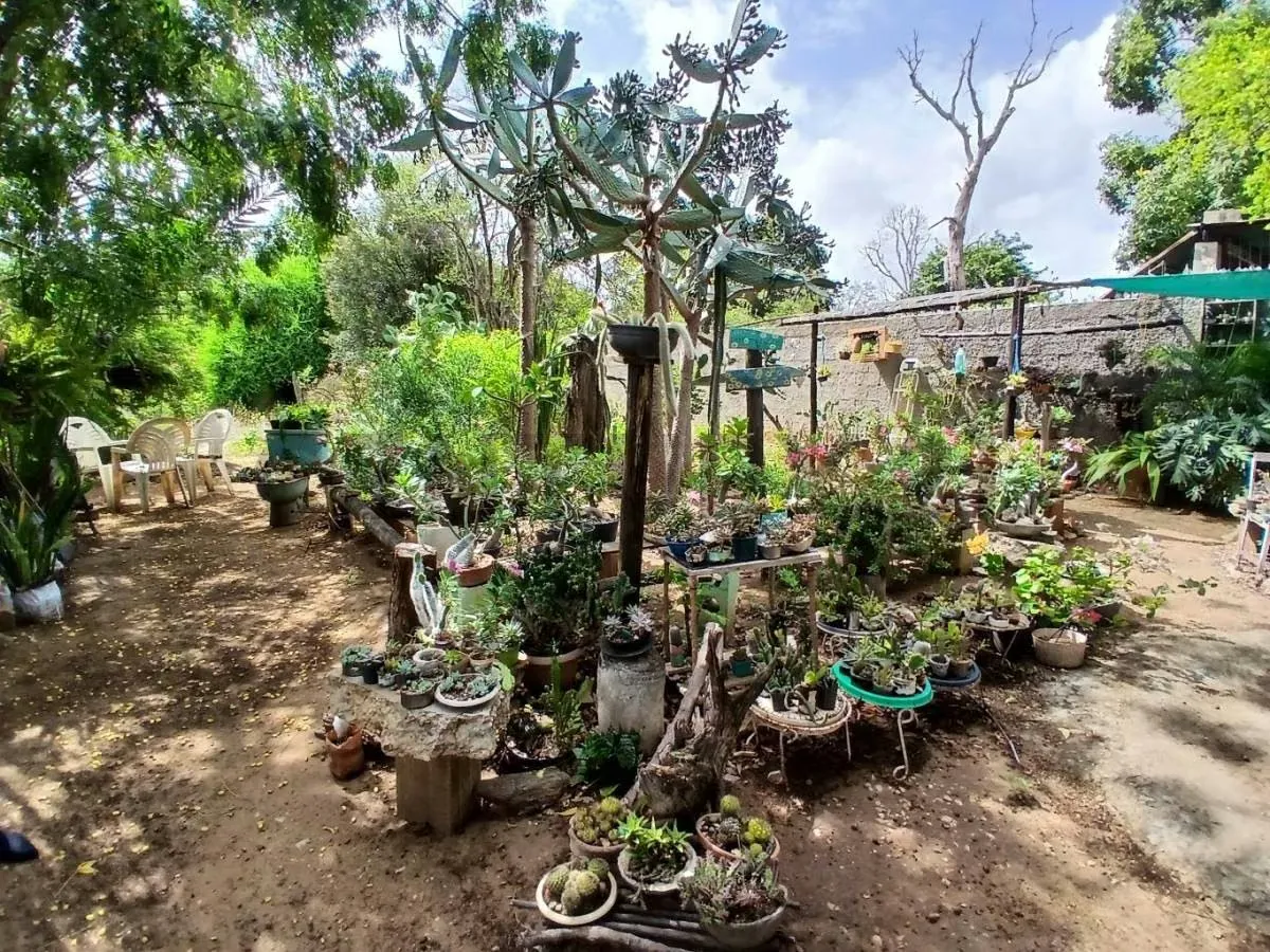 Casa Campestre con Terreno en Altagracia a 5 min de la bahía de Juan Griego - 24