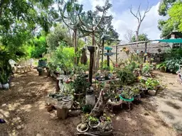 View 24