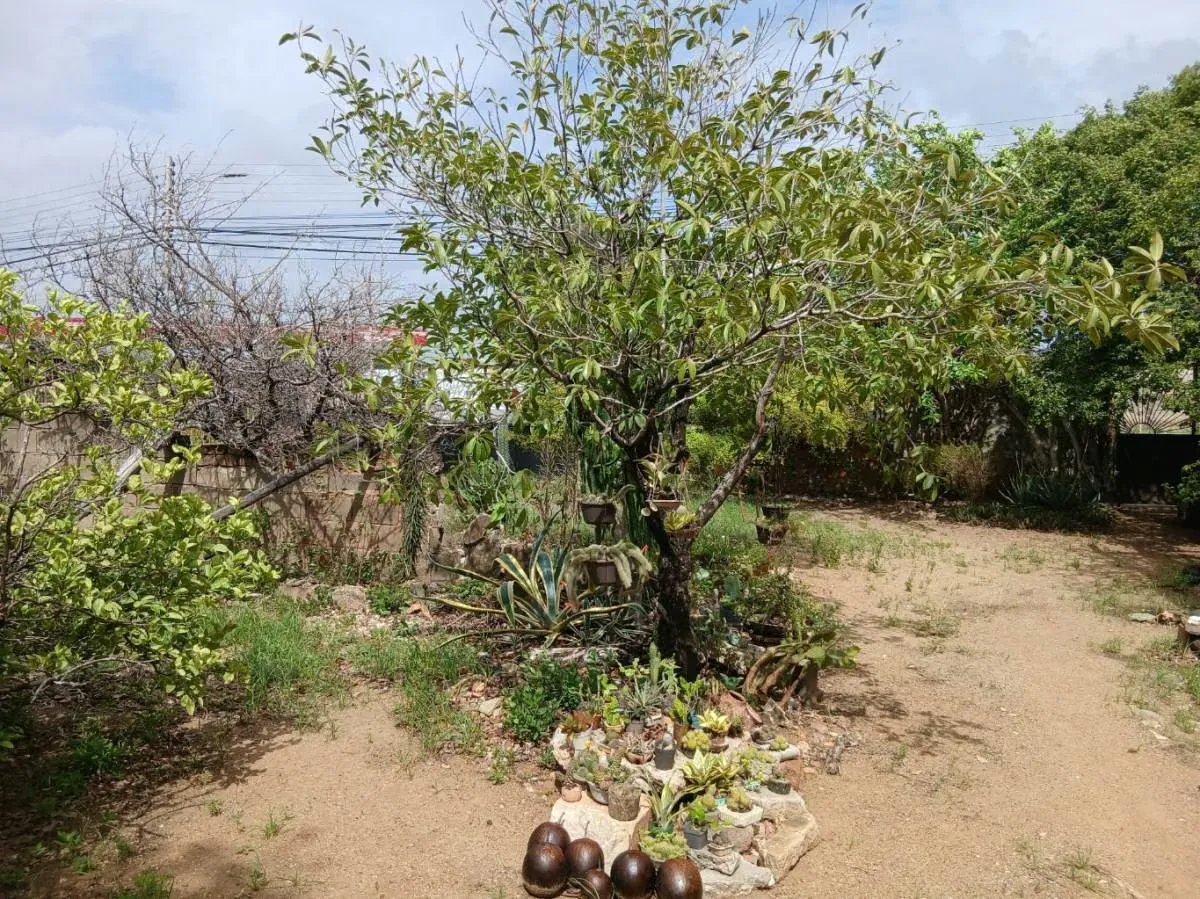 Casa Campestre con Terreno en Altagracia a 5 min de la bahía de Juan Griego - 25