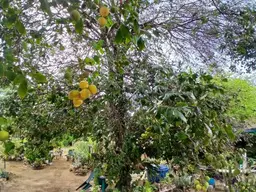 View 26