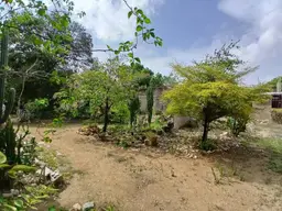 View 27