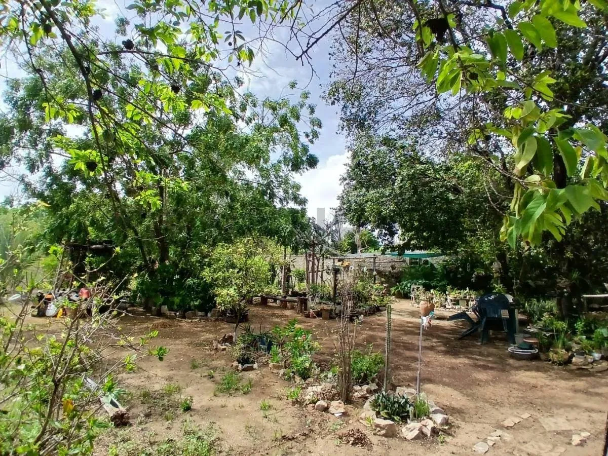 Casa Campestre con Terreno en Altagracia a 5 min de la bahía de Juan Griego - 28