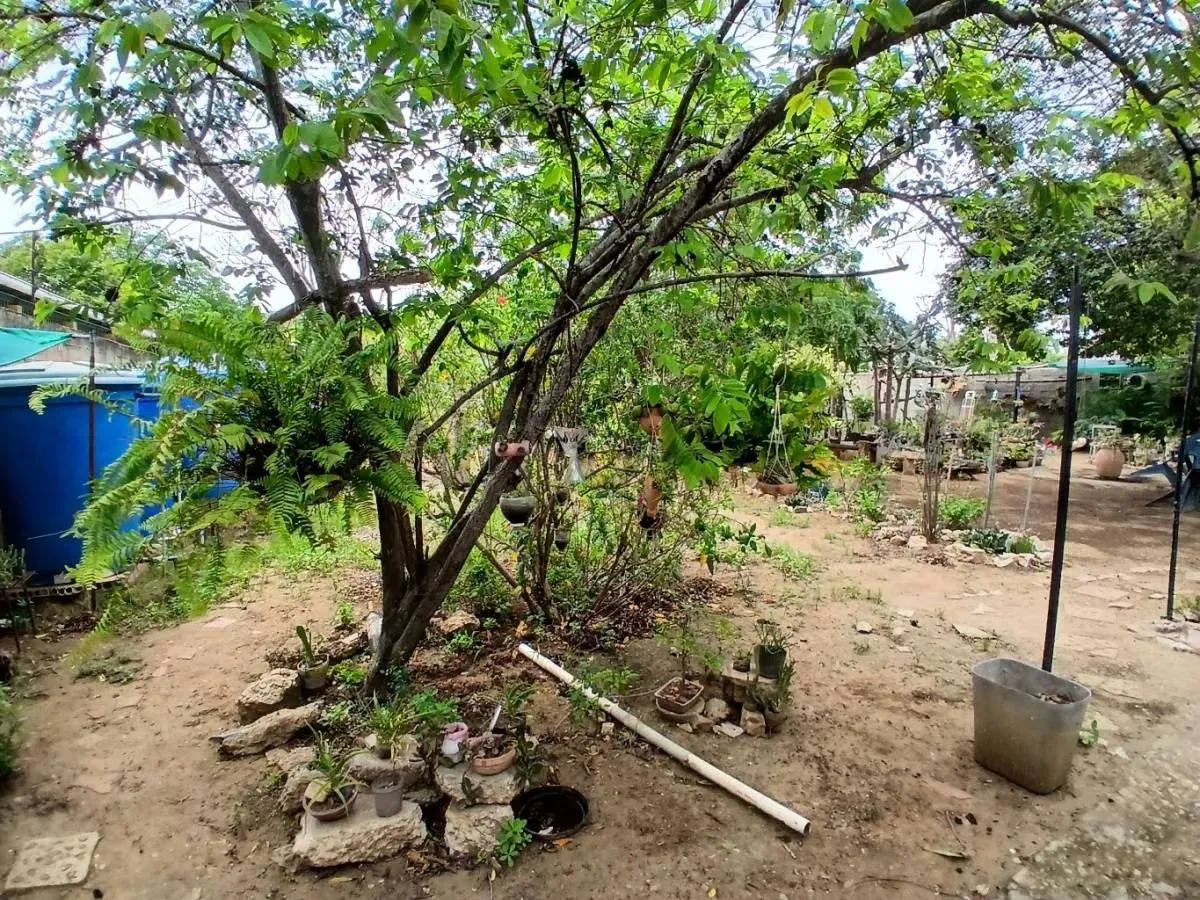 Casa Campestre con Terreno en Altagracia a 5 min de la bahía de Juan Griego - 29