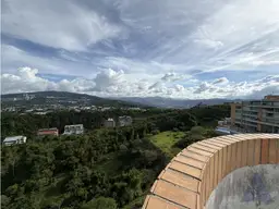 Vista 16