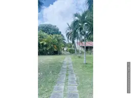 Vista 15