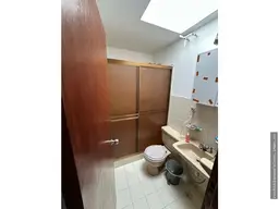 Vista 6