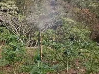 Venta de Finca en San Diego de Los Altos. Miranda - 9