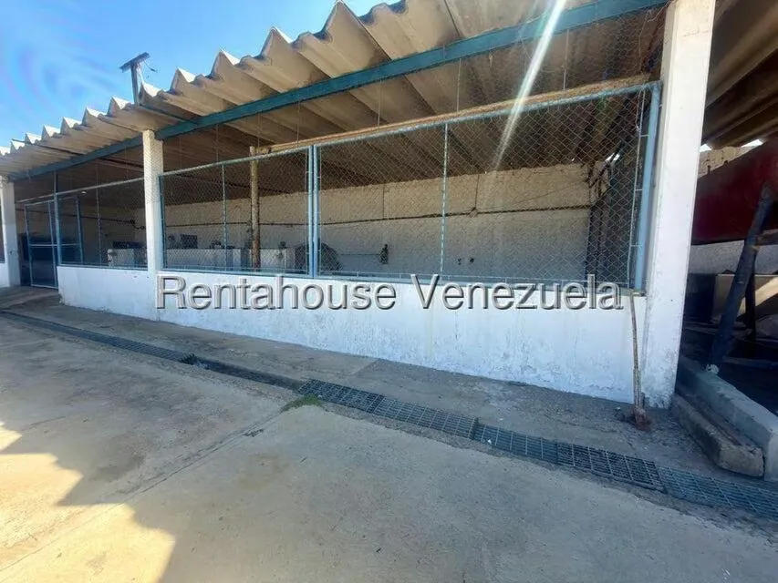 Galpon - Deposito en Alquiler en Nuevo Pueblo, Falcon - 8