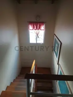 View 14