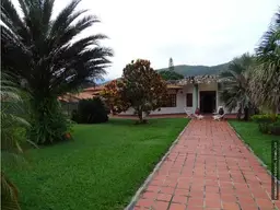 Vista 19