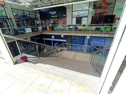 Vista 4