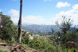 View 5