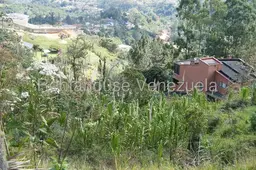 View 8