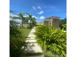 Vista 19