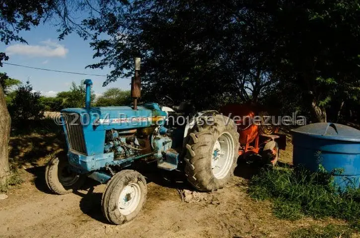Terreno (Finca) en Venta en Municipio Jimenez, Lara - 11
