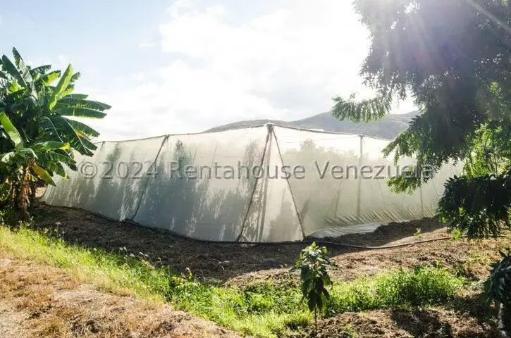 Terreno (Finca) en Venta en Municipio Jimenez, Lara - 12
