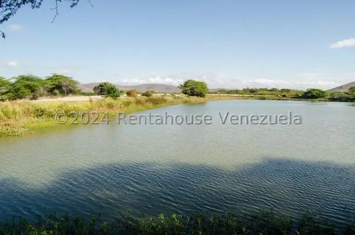 Terreno (Finca) en Venta en Municipio Jimenez, Lara - 13