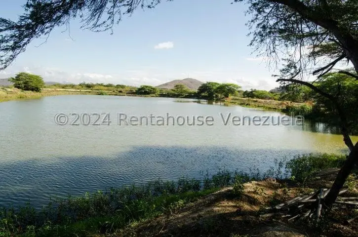 Terreno (Finca) en Venta en Municipio Jimenez, Lara - 14