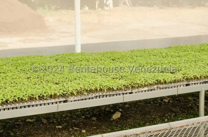 Terreno (Finca) en Venta en Municipio Jimenez, Lara - 21