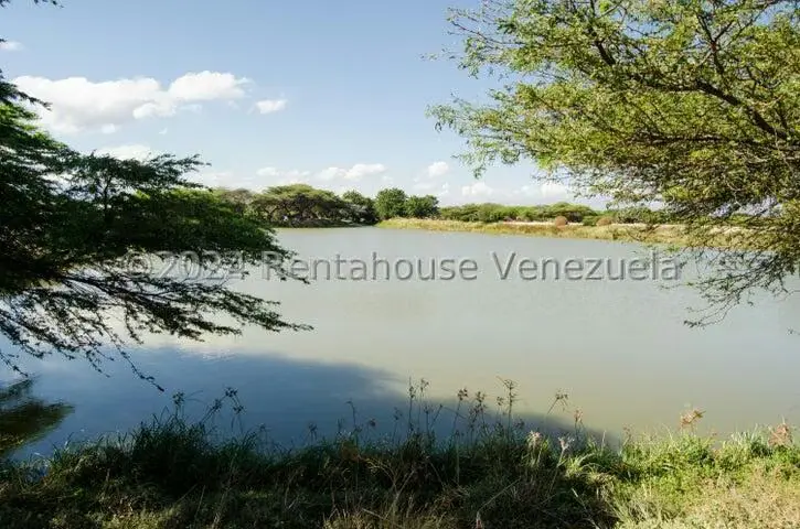 Terreno (Finca) en Venta en Municipio Jimenez, Lara - 22