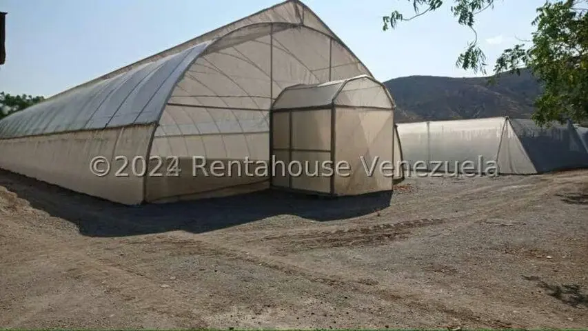 Terreno (Finca) en Venta en Municipio Jimenez, Lara - 23