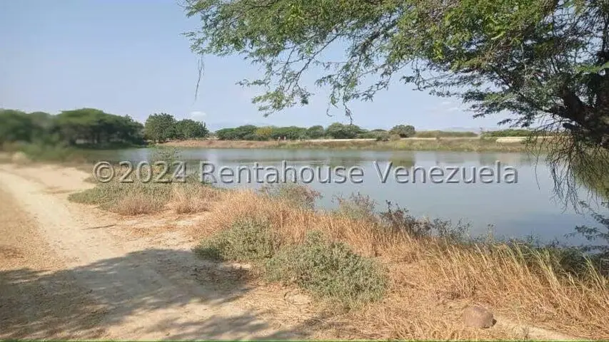 Terreno (Finca) en Venta en Municipio Jimenez, Lara - 24