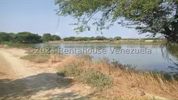 Vista 24