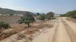 Vista 29