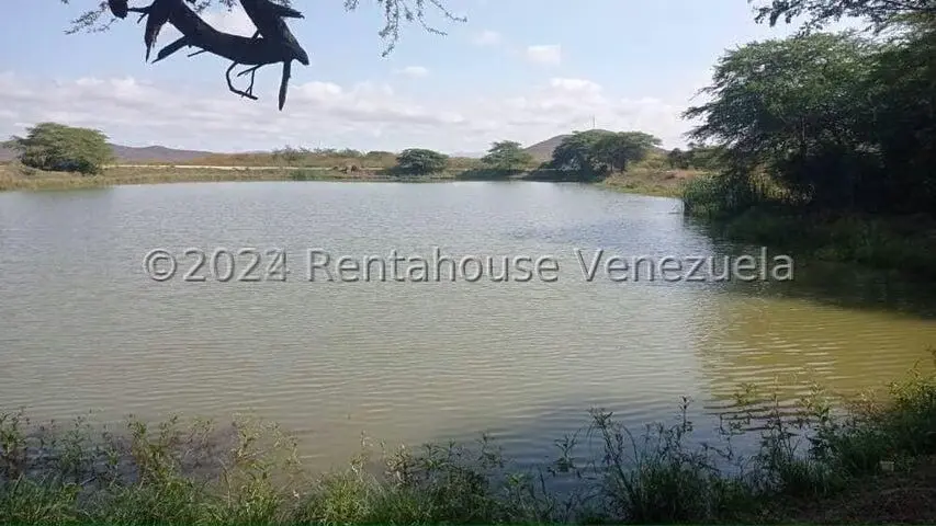 Terreno (Finca) en Venta en Municipio Jimenez, Lara - 34