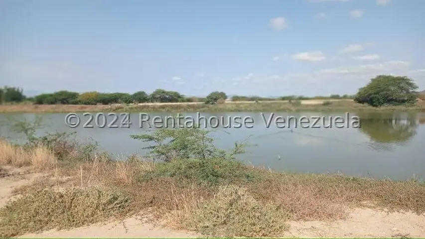 Terreno (Finca) en Venta en Municipio Jimenez, Lara - 37