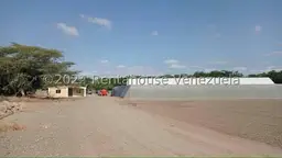 Vista 4