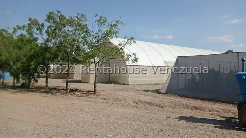Terreno (Finca) en Venta en Municipio Jimenez, Lara - 6
