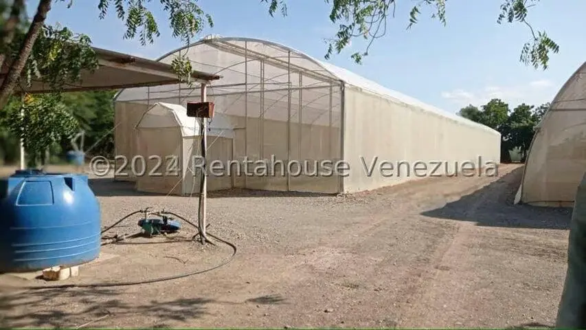 Terreno (Finca) en Venta en Municipio Jimenez, Lara - 8