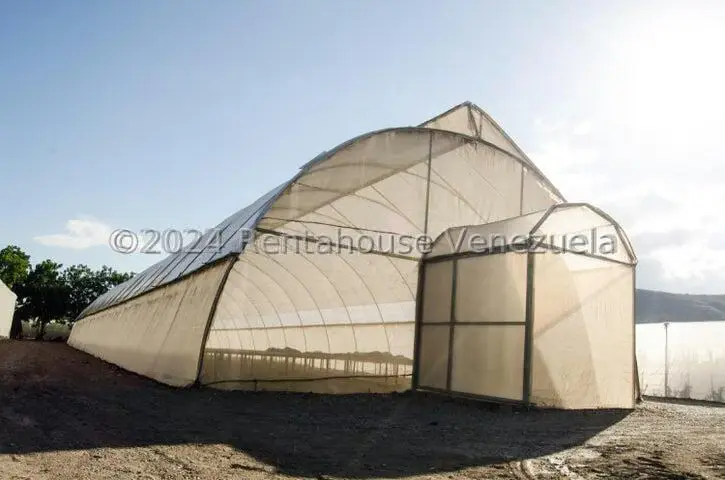 Terreno (Finca) en Venta en Municipio Jimenez, Lara - 9