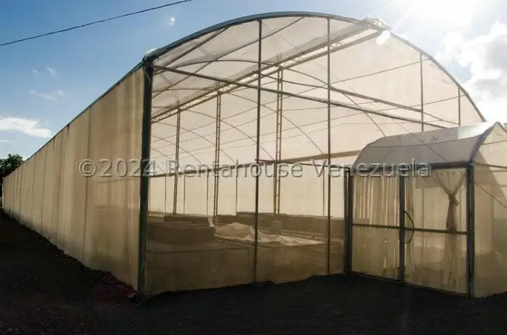 Terreno (Finca) en Venta en Municipio Jimenez, Lara - 10