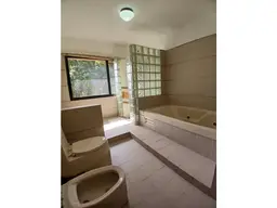Vista 19