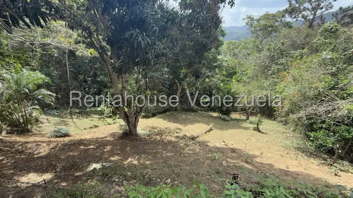 Casa (1 Nivel) en Venta en Oripoto, Distrito Metropolitano - 13